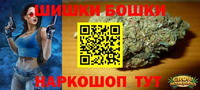 стаф Будённовск