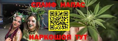 стаф Будённовск