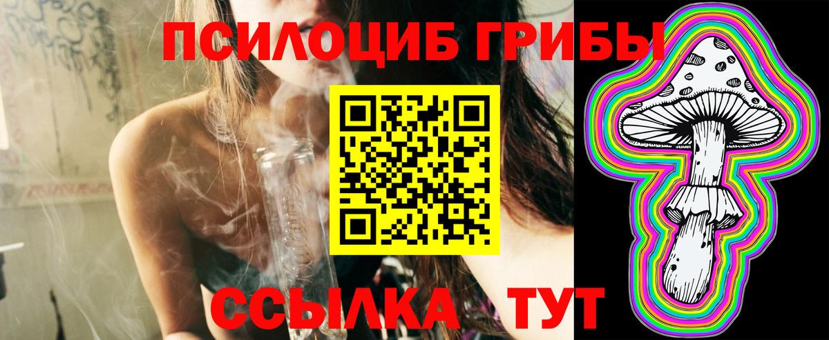 Псилоцибиновые грибы Psilocybine cubensis  Вход с VPN  Курганинск 